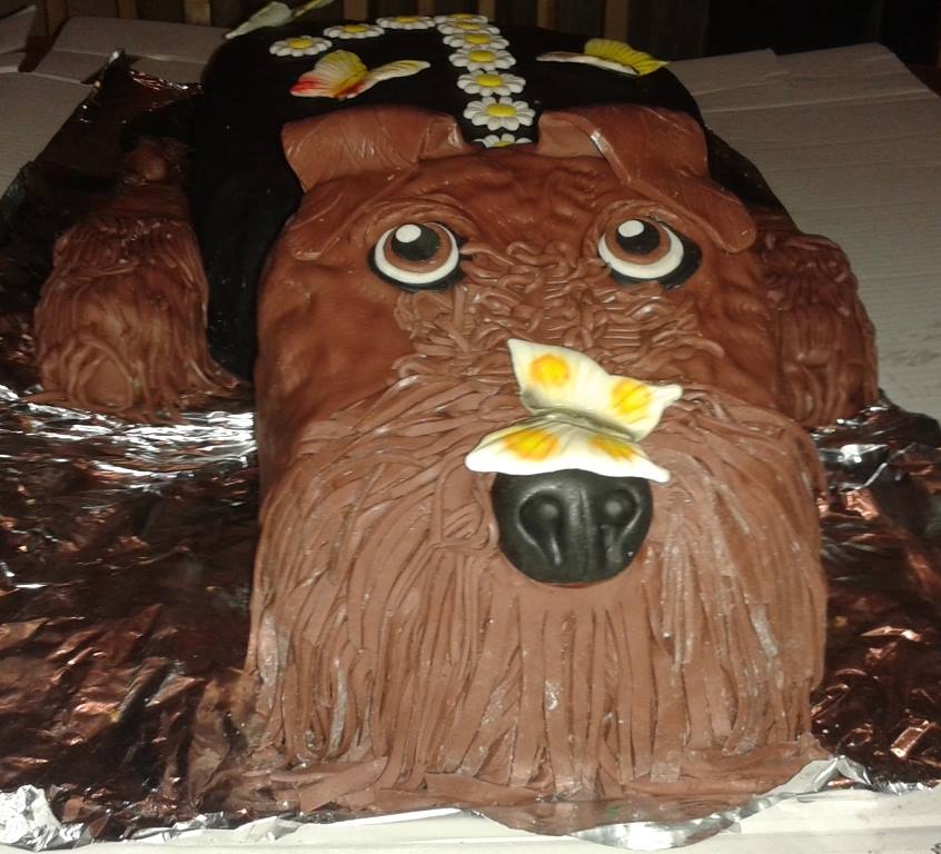 14494675_1192548827482854_3548393655186203202_n