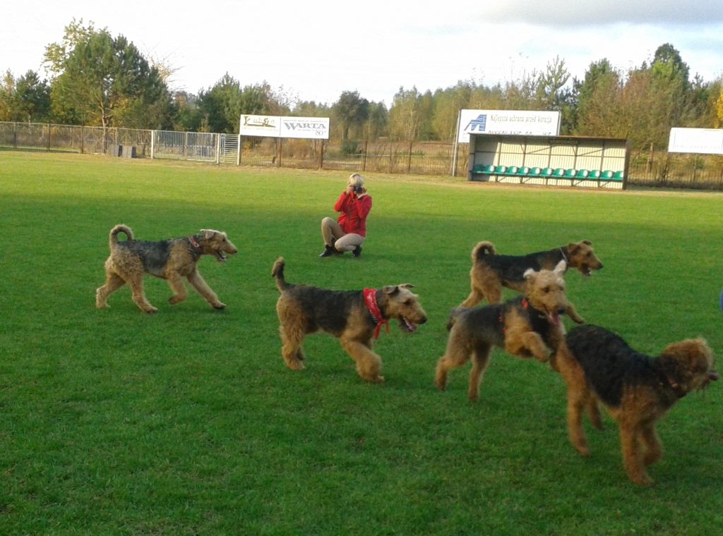 14570552_1192548627482874_4450882970616660905_o